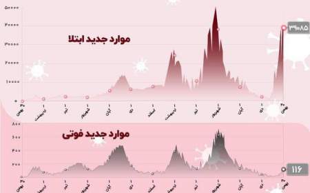 زورآزمایی کرونا ادامه دارد؛ فوت 116 نفر دیگر در شبانه روز گذشته