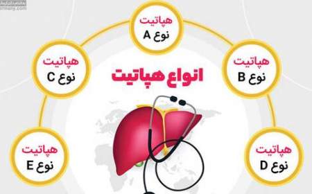 هپاتیت مستقیم این عضو بدن را هدف قرار می دهد