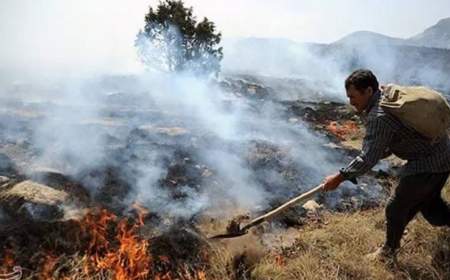 آتش‌سوزی ۲۶۰۰ هکتار از جنگل‌های لرستان را خاکستر کرد